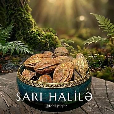 ​✨ Təbiətin Şəfa Mənbəyi: Sarı Xəlilə (Haritaki) ✨ ​Tibbi ədəbiyyatda