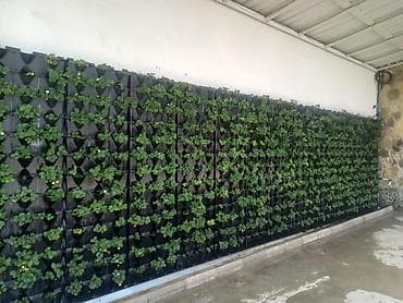 Горшки для растений: 🔹 Mini Garden (Vertical Green Wall) – Portuqaliya istehsalı Layihə — 8