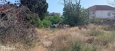 mida satis: 9 sot, Makler, Kupça (Çıxarış) — 4