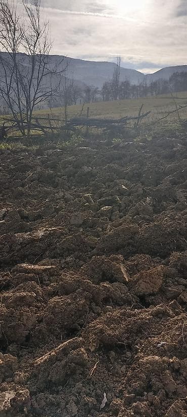 kohnə suraxanı: Kənd təsərrüfatı — 5