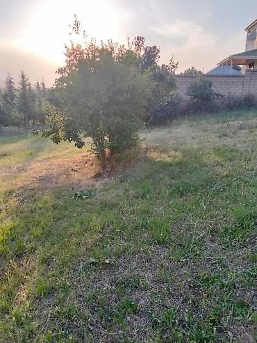 ucuz torpaq oğuz: 10 sot, Tikinti, Mülkiyyətçi, Kupça (Çıxarış) — 5