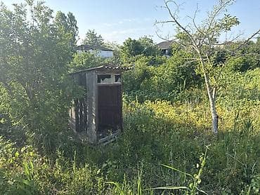 8 sot, Tikinti, Kupça (Çıxarış) — 6