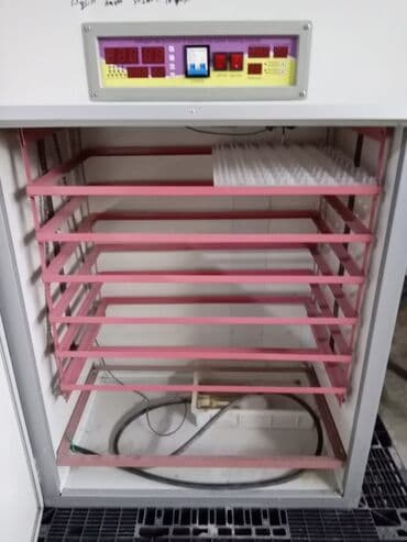 Avtoservis avadanlıqları: 1100 yumurta, Çin, Bütün növ quşlaq üçün — 6