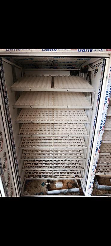 ev quslarinin satisi: 2810 yumurta tutumlu, tam avtomatik inkubator satılır.Yumurta — 5