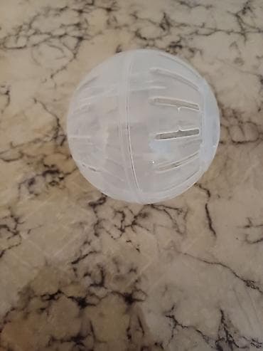 купить мячь: Мячик для джунгарика(хомяк) — 1