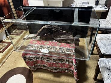 tap az baliqlar: Dördbucaq akvarium, Boş, 162 l, Ödənişli çatdırılma — 2