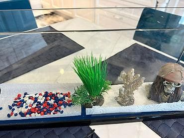 Akvarium
55sm uzunlugu,10sm eni,22sm hundurluyu — 2