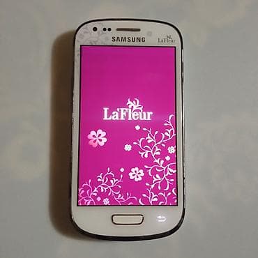samsung netbook: Samsung C100, rəng - Gümüşü, Düyməli — 3