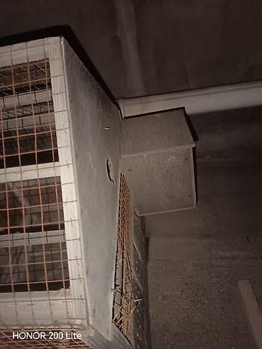 itler ucuz: Taxta quş/kəpənək evi – geniş və çoxsəviyyəli qəfəs - Material: taxta — 6