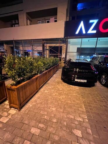 dipçək: 100x30x55 dipcek Bitki elave hesablanir Bitkinin hundurluyu 60-70sm — 13