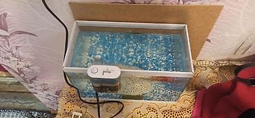 Kompakt akvarium komplekti - Şəffaf şüşə akvarium, təxminən 20–30