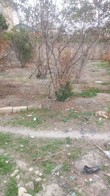 mx group inşaat: 2 sot, Tikinti, Mülkiyyətçi, Kupça (Çıxarış) — 2