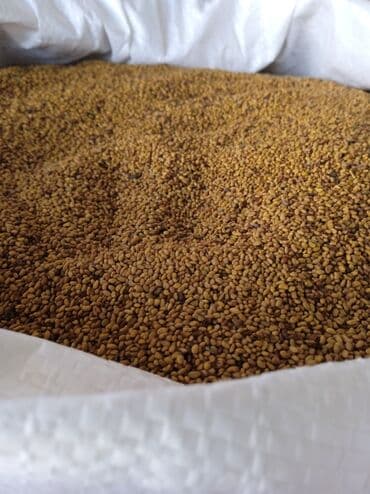 Məhsul: Yonca toxumu (Medicago sativa) Təsvir: - Təmizlənmiş, xırda