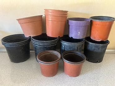 Plastik bitki dibçəkləri dəsti - Müxtəlif ölçülərdə: kiçikdən orta və lalafo.az -da Plastik bitki dibçəkləri dəsti - Müxtəlif ölçülərdə: kiçikdən orta və