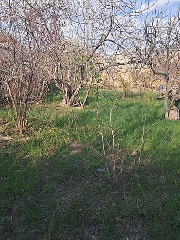 sedmoyda kiraye evler: Для строительства — 3