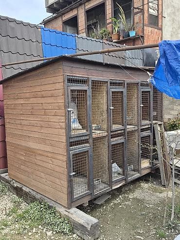 Taxta quşxana/klet sistemi - Material: tam taxta karkas, ön hissəsi