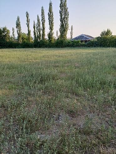 1 sot nece kvadrat metrdir: 80 sot, Biznes üçün, Mülkiyyətçi, Kupça (Çıxarış) — 6