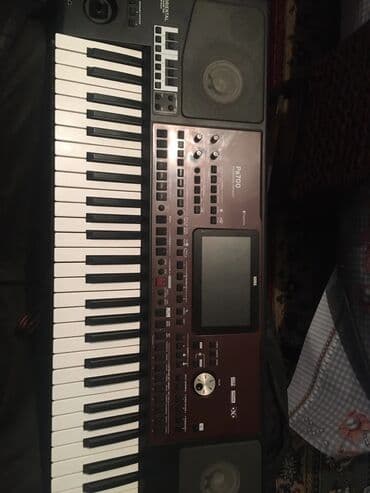 korg pa 2 x: Синтезатор, Korg — 4