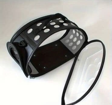 русская голубая кошка баку: Qara rəng — 2