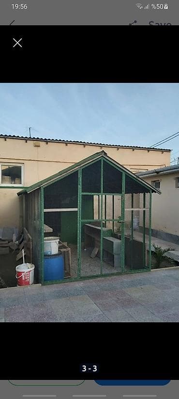 bildircin yemi: Quşxana satılır.İçərsində dekorativ quşlar və göyərçinlər,və yaxudda — 1