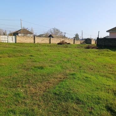 5d divar kagizlari: Sotu 1000 azn — 1