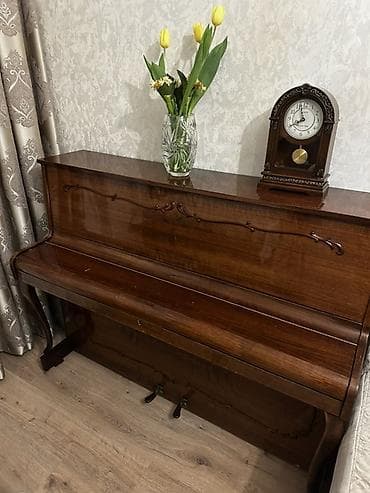 Velosiped aksesuarları: Piano, Akustik — 2