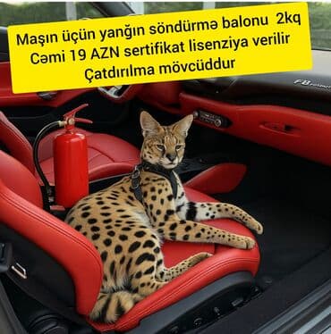 İstənilən növ yanğın söndürmə balonlarının satışı ve dolumu xidmeti