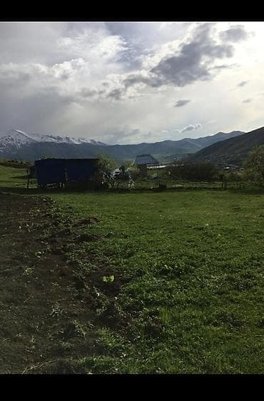 Tikinti, Kupça (Çıxarış) — 4