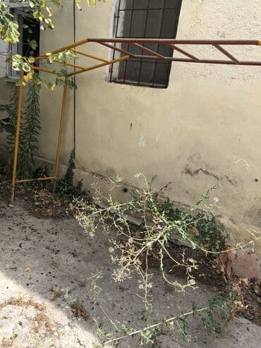 дом с бассейном: Turnik ( турник) — 1