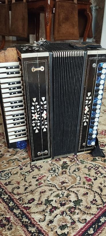 saz aletleri: Akustik Akkordeon — 1