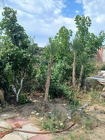 Həyət evi alıram: Nardaran qəs. 3 otaqlı, 3 kv. m, Kredit yoxdur, Orta təmir — 6