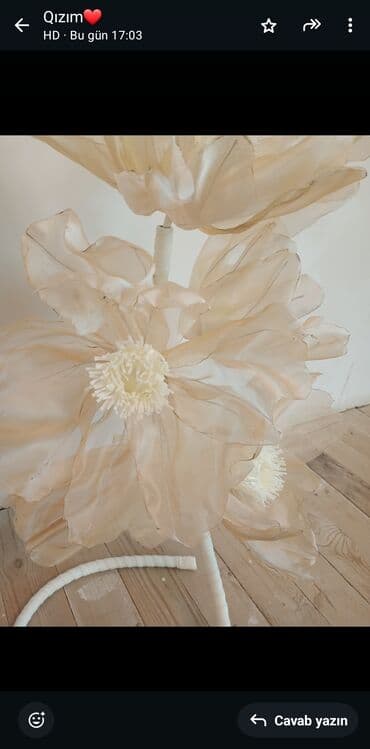 son zəng şəkilləri: Fiqur — 2