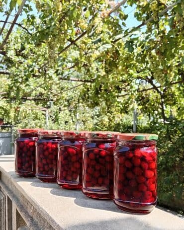 kakos murebbesi hazirlanmasi: Zoğal mürəbbəsi Can dərmanı bağımızın məhsulu gözəl zoğal — 2