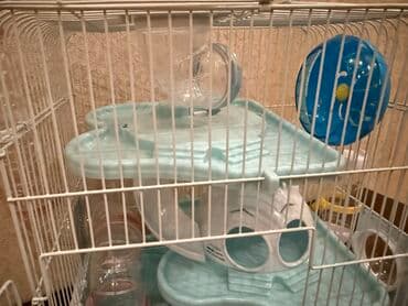 хомяк цены: Клетка для хомяка — 4