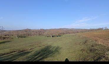 torpag satisi: 50 sot, Kənd təsərrüfatı, Mülkiyyətçi, Kupça (Çıxarış) — 1