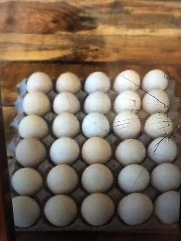 Məhsul: Toyuq yumurtası (təki) Təsvir: - Karton viyada yerləşdirilmiş lalafo.az -da Məhsul: Toyuq yumurtası (təki) Təsvir: - Karton viyada yerləşdirilmiş