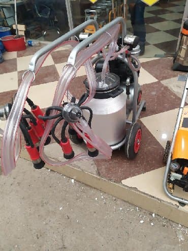 ət çəkən maşın qiyməti: Mal sağan aparat yeni keyfiyyətli qarantiya ilə satılır 1 il qarantiya — 3