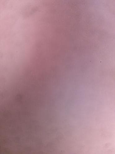 hamam ref: Qaz ve lal ordek yumurtasi var Xüsusiyyətlər: - Rəng: Açıq çəhrayı — 1