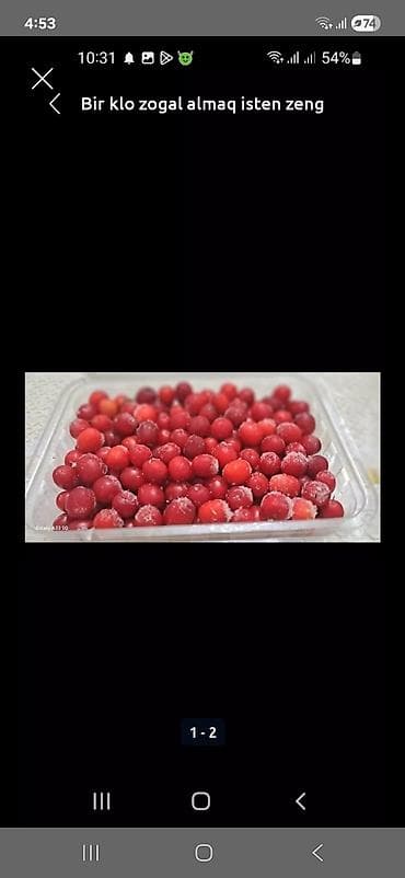 Ət məhsulları: Məhsul: Təbii zoğal (dondurulmuş) - Təzə toplanmış zoğal giləmeyvəsi — 2