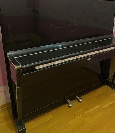 Охота и рыбалка: Пианино, Акустический, Б/у, Самовывоз, Платная доставка — 2