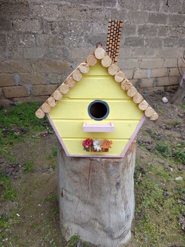 dibcək gulu: Quş yuvalari — 3