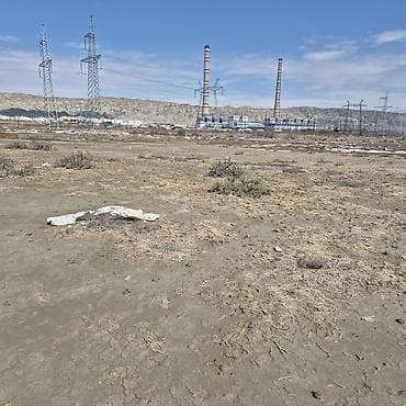 sabuncu torpaq: Tikinti — 5