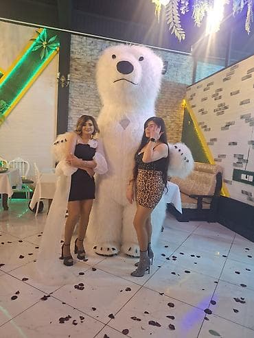 заказать заказать шоу мыльных: Uşaqların və böyüklərin tədbirlərinə rəng qatan nəhəng ayı maskotu — 5