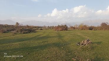 Mənzillər: 24 sot, Kənd təsərrüfatı, Barter mümkündür, Kupça (Çıxarış) — 5