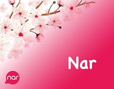 en ucuz 211 nomreler: Nömrə: ( 055 ) ( 5555980 ), Yeni — 3