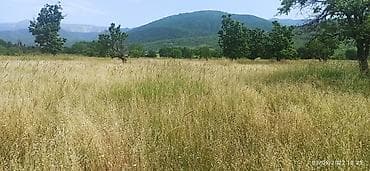 kurdaxanida heyet evleri: 128 sot, Biznes üçün, Mülkiyyətçi, Bələdiyyə — 3