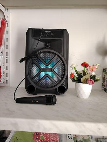 marshall kalonka: Daşınan akustik səs sistemi və mikrofon dəsti - Marka/model: QTX — 1