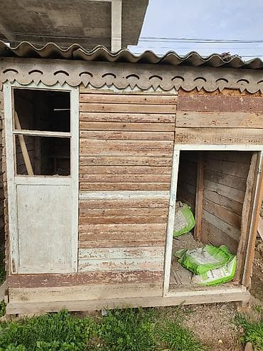 balaca dana: Salam. Göyərçin,bildirçin, toyuq-cücə saxlamaq üçün çox əlverişlidir — 3