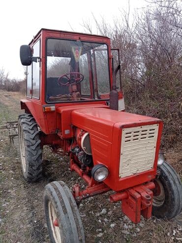 Traktor Belarus (MTZ) T25, 1986 il, 12345 at gücü, motor 9.9 l, İşlənmiş