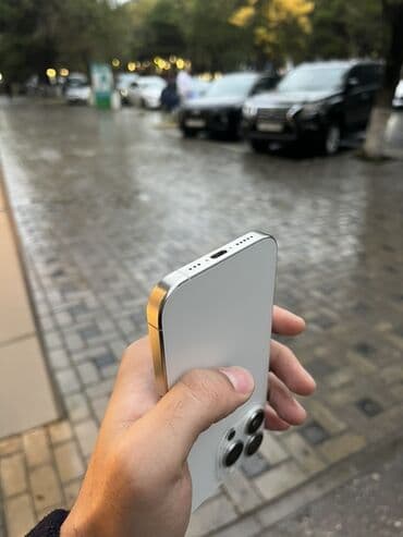 15 про макс: IPhone 15 Pro, 256 ГБ, White Titanium, Беспроводная зарядка, Face ID — 4